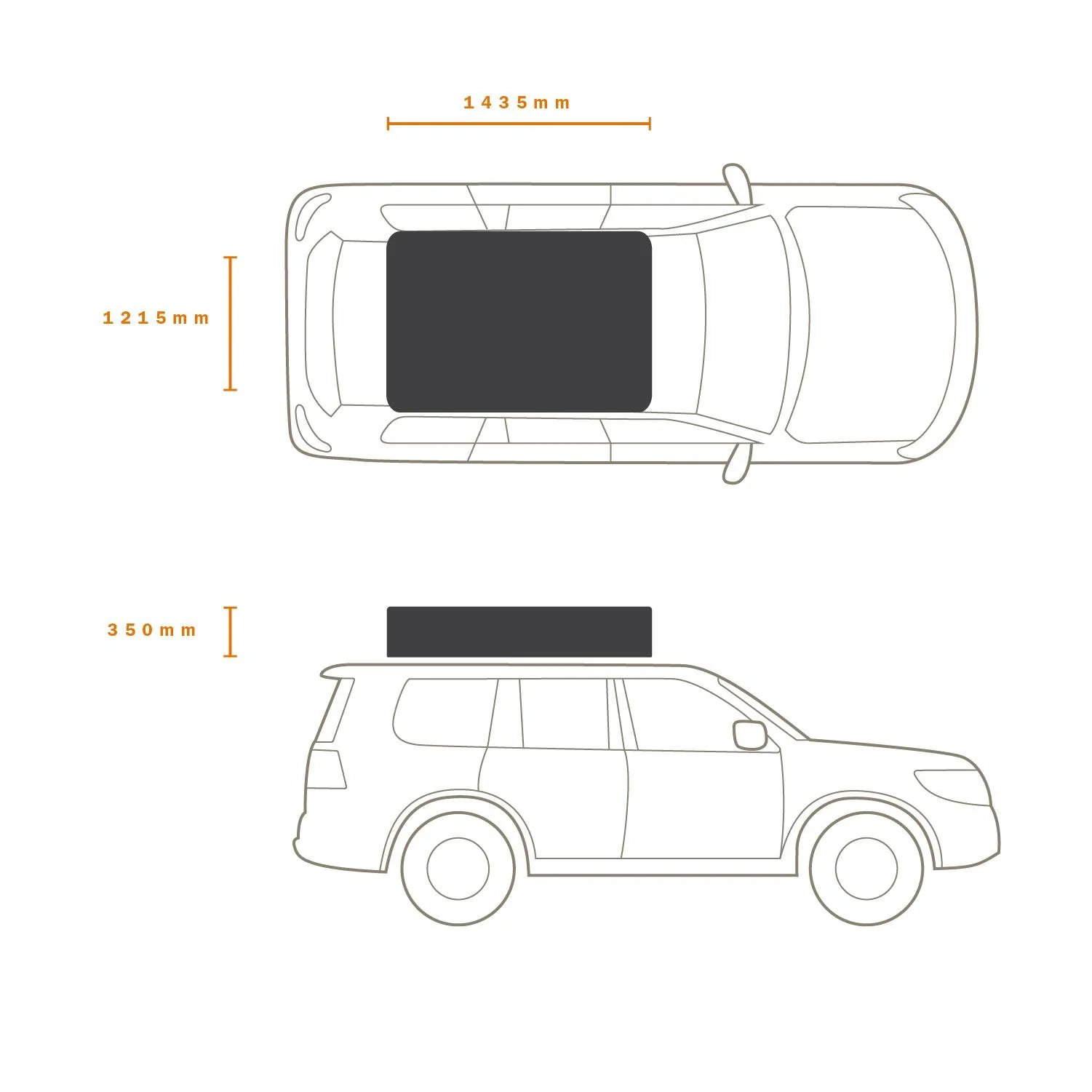 INTREPIDOR 2 - Image 13